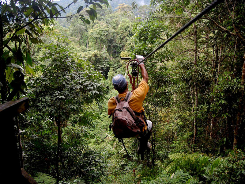 arbre-et-aventure-accrobranche