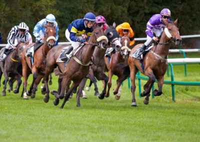 Les courses à l’Hippodrome de la Mollière à Berck-sur-Mer