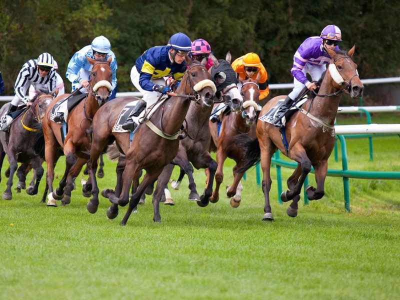 course-hippique-a-berck