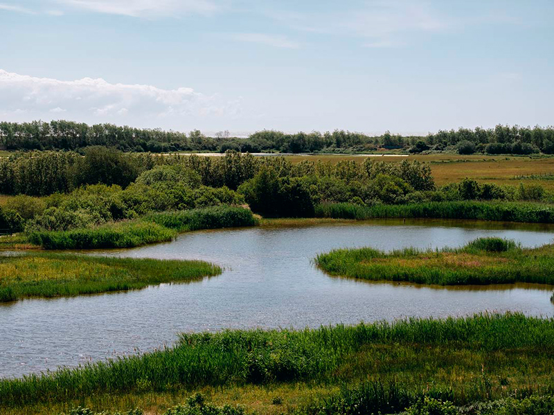 parc-du-marquenterre
