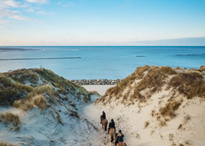 La baie d’Authie, un espace naturel entre terre et mer