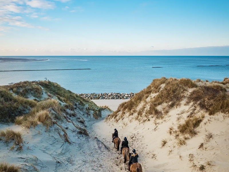 promenade-cheval-henson-baie-authie